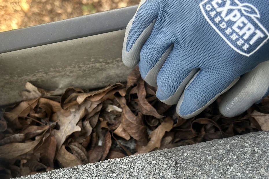 Gutter Cleaning Wellford