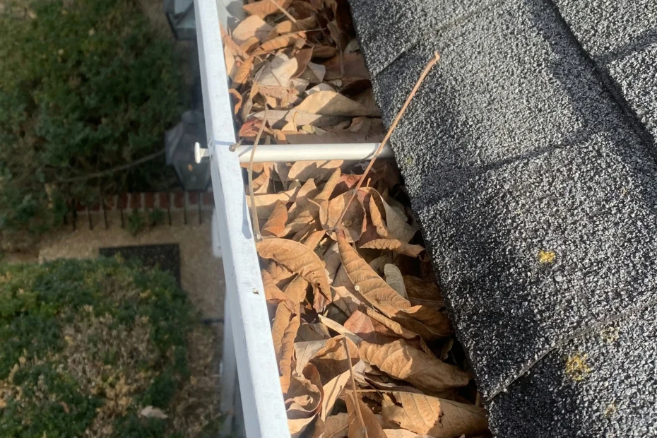 Gutter Cleaning Wellford