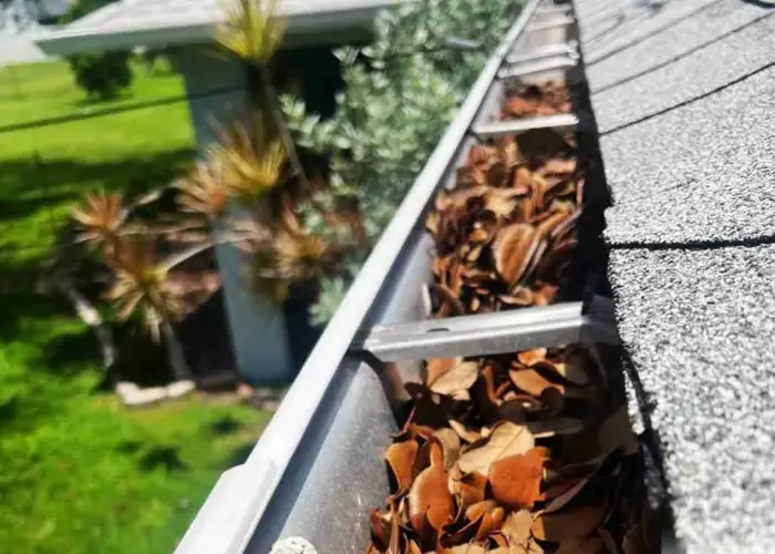 Gutter Cleaning Wellford home page